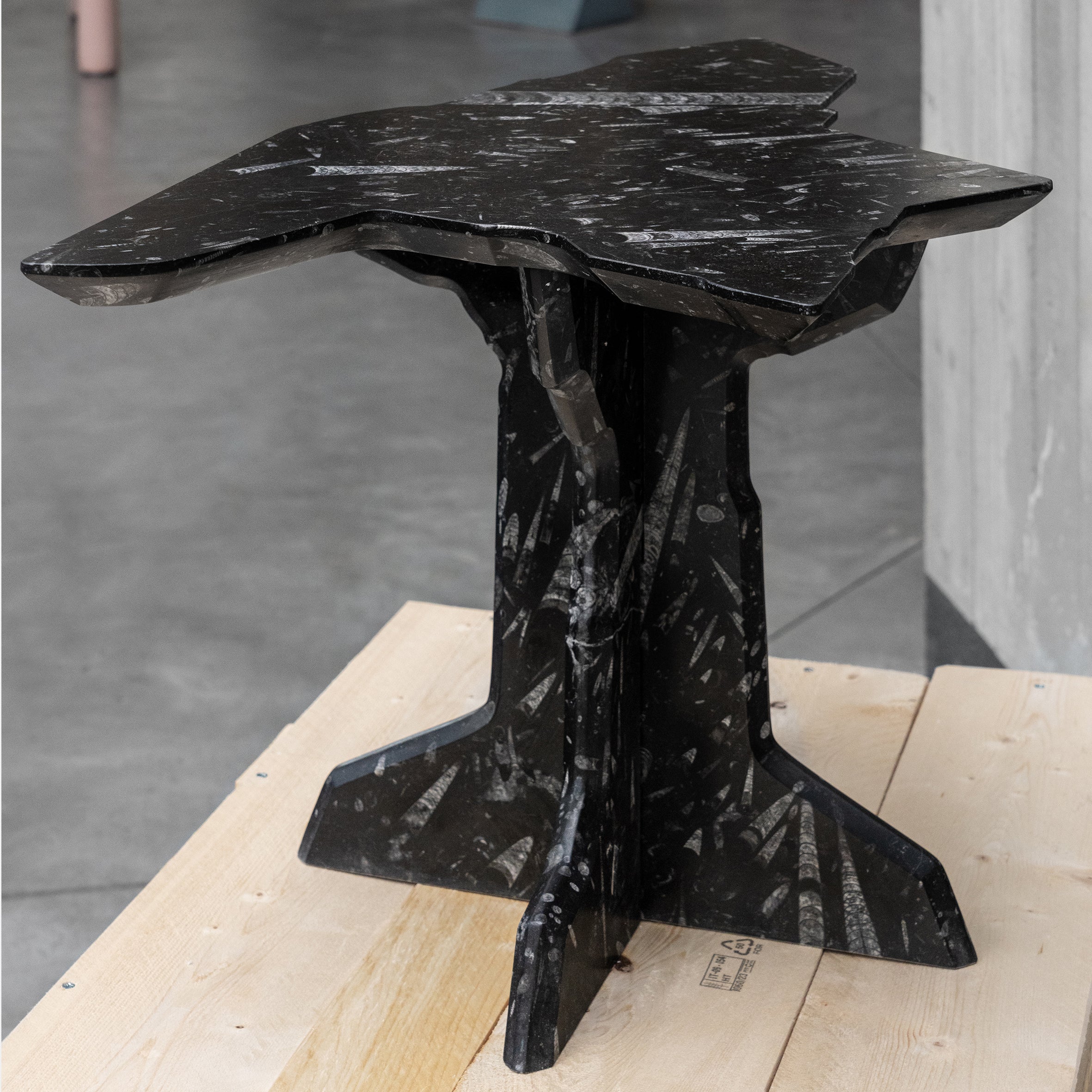 Alien Debris Side Table