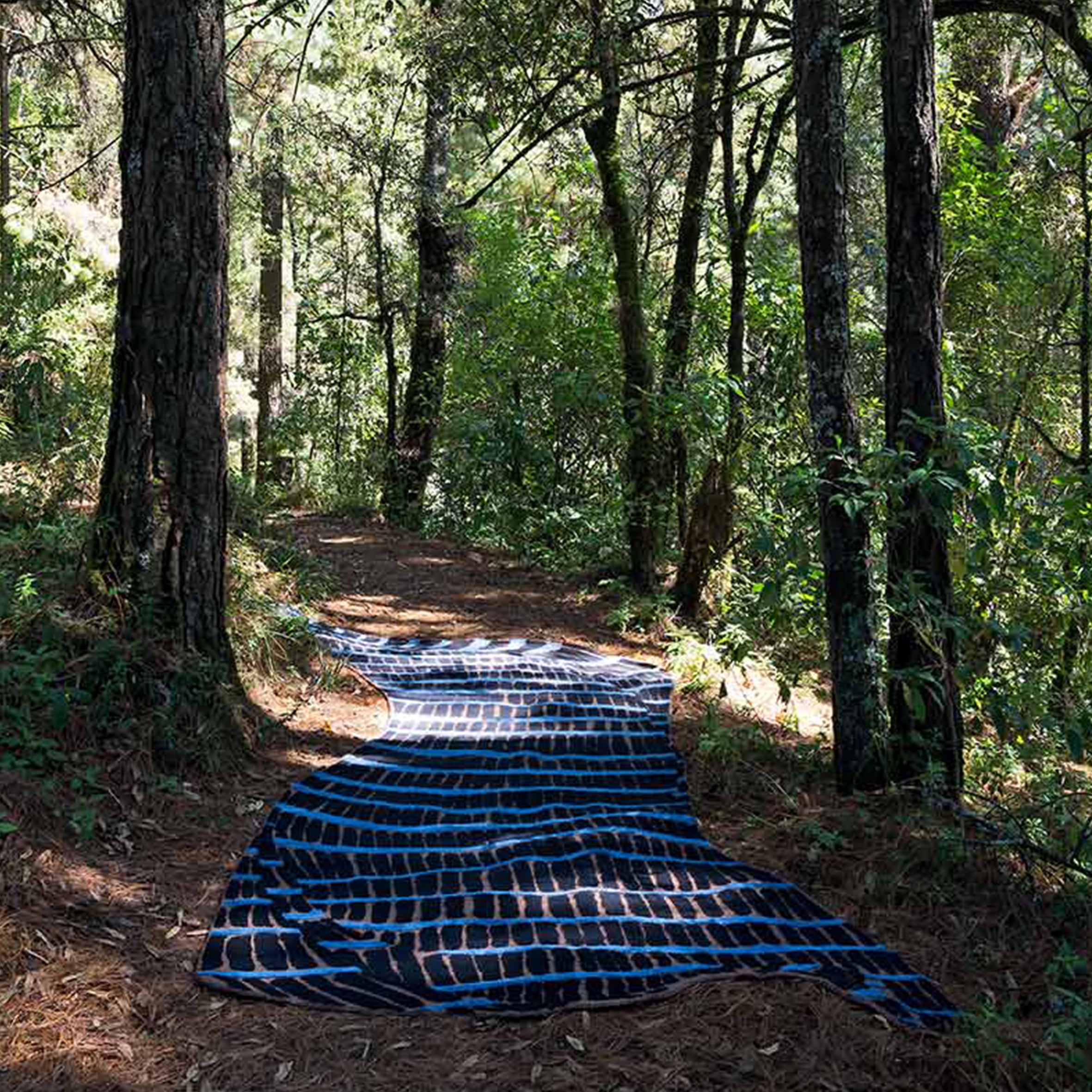 Fósil Monarch Rug