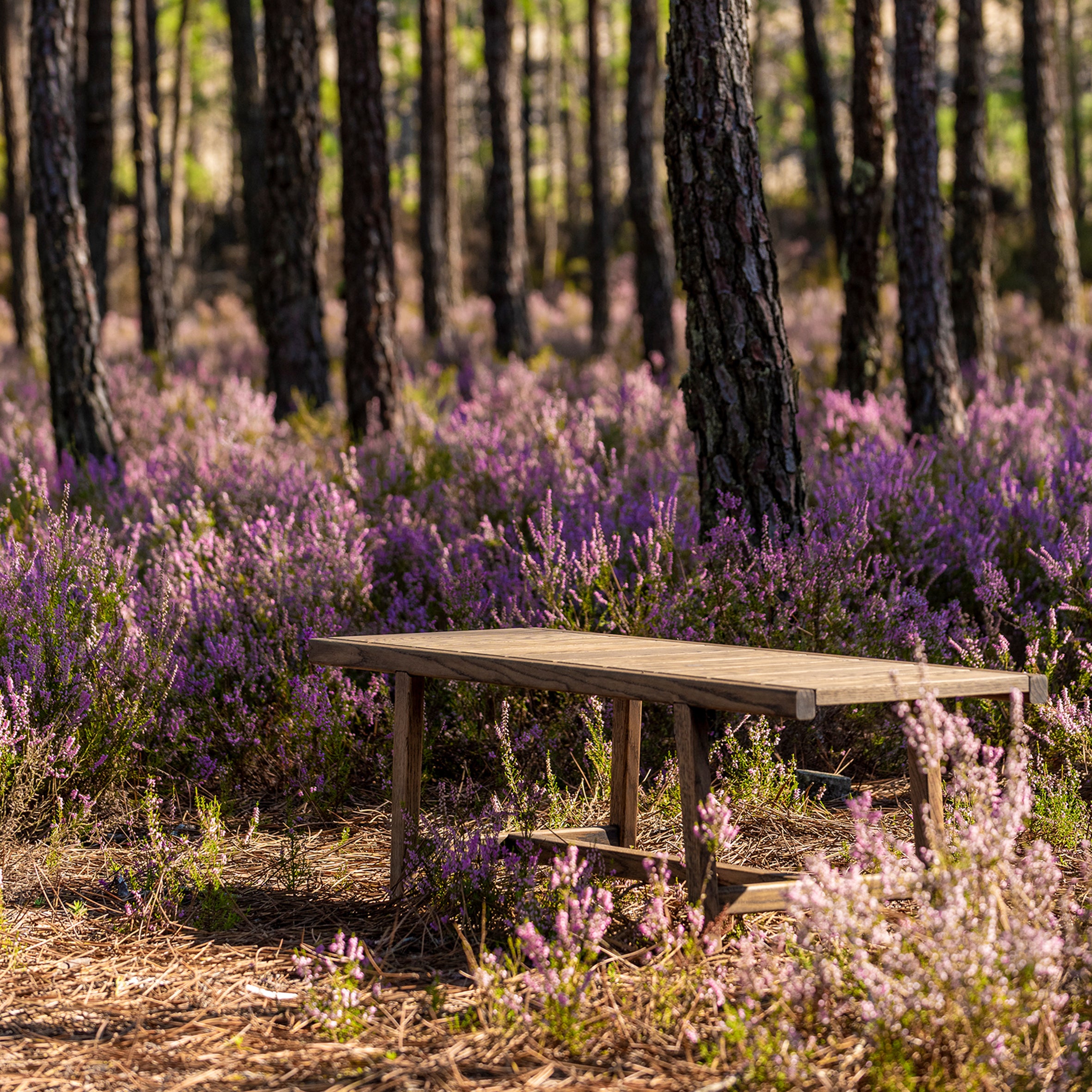 98.6°F Outdoor Bench
