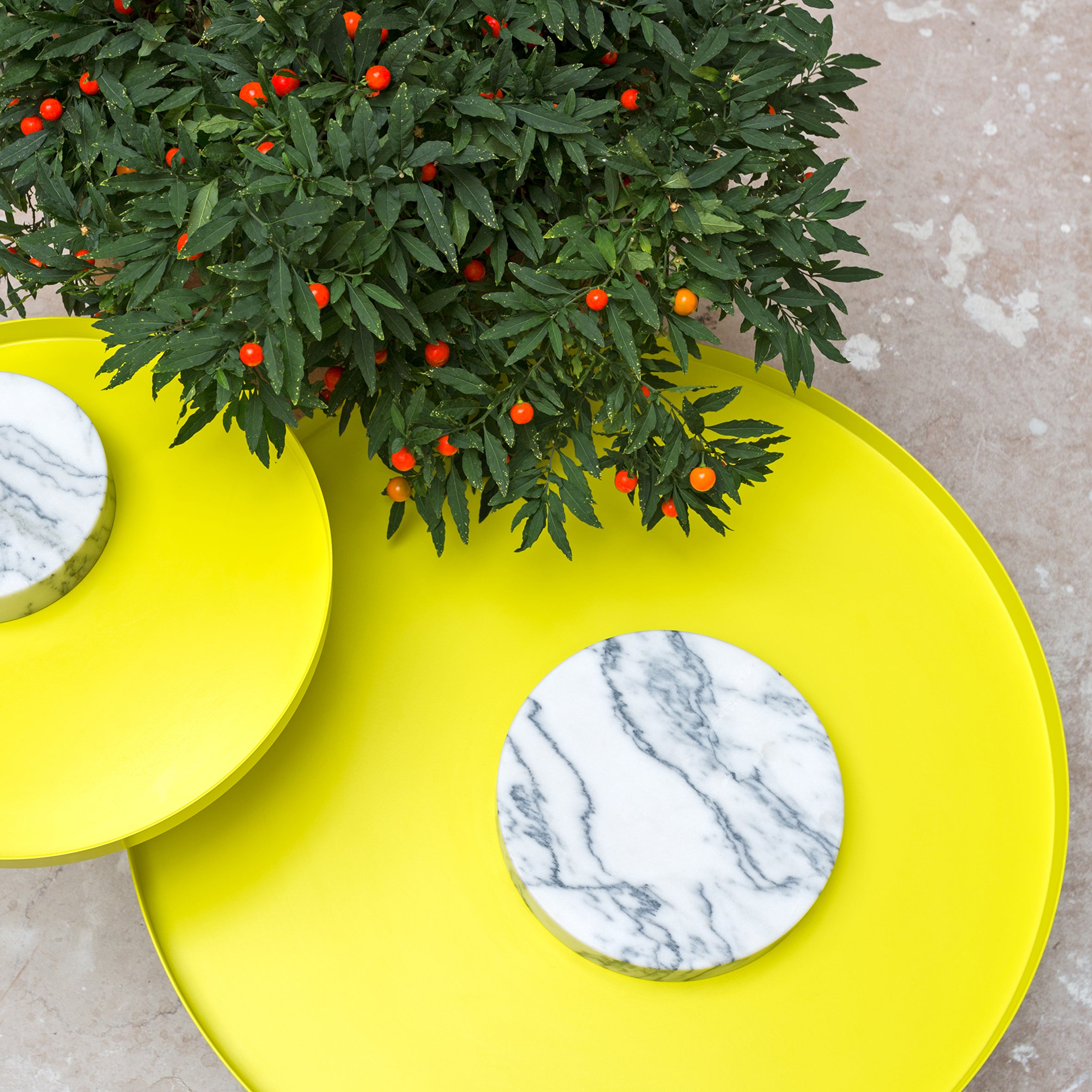 Salute Side Table - Medium