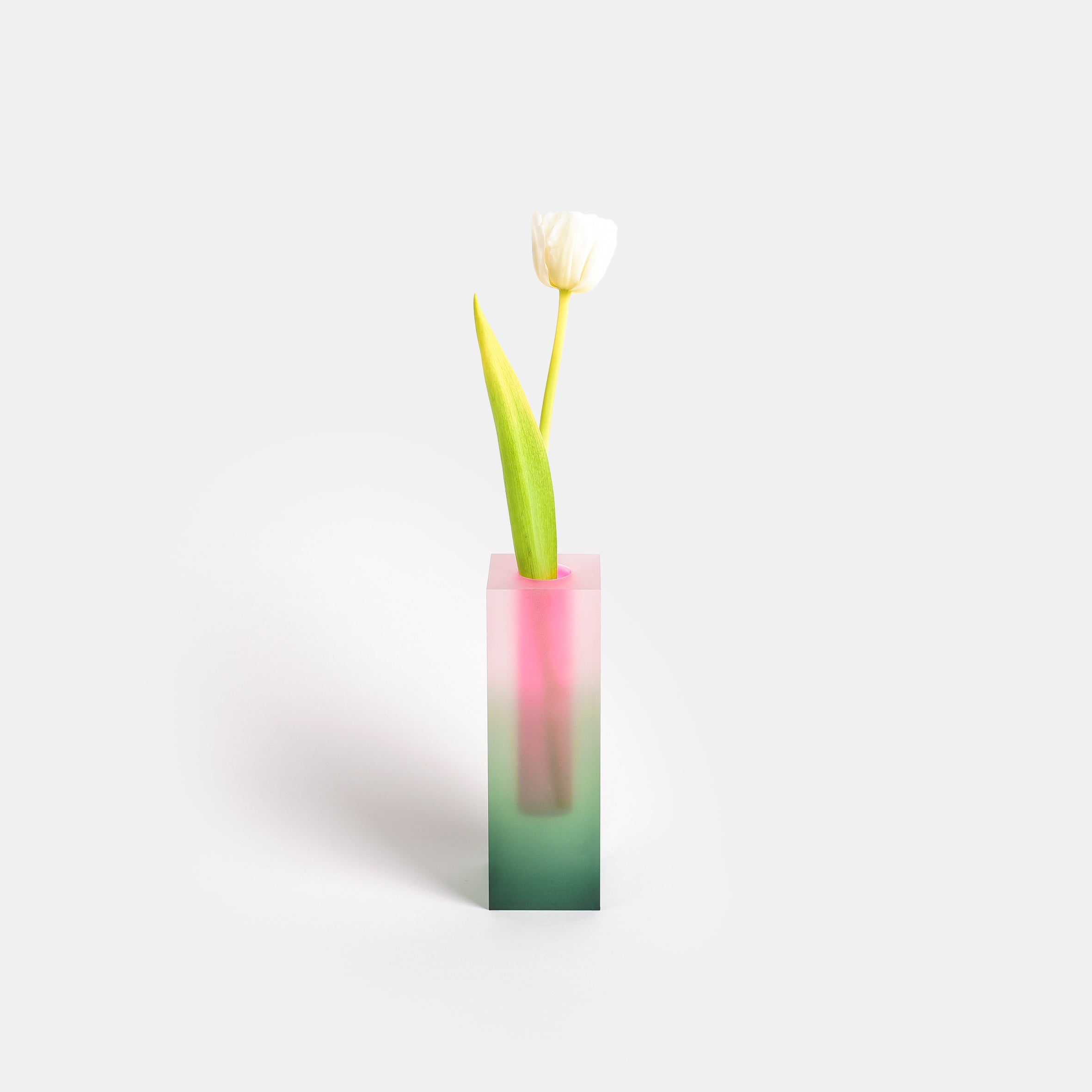 Mellow Vase - Green & Pink - Monologue London