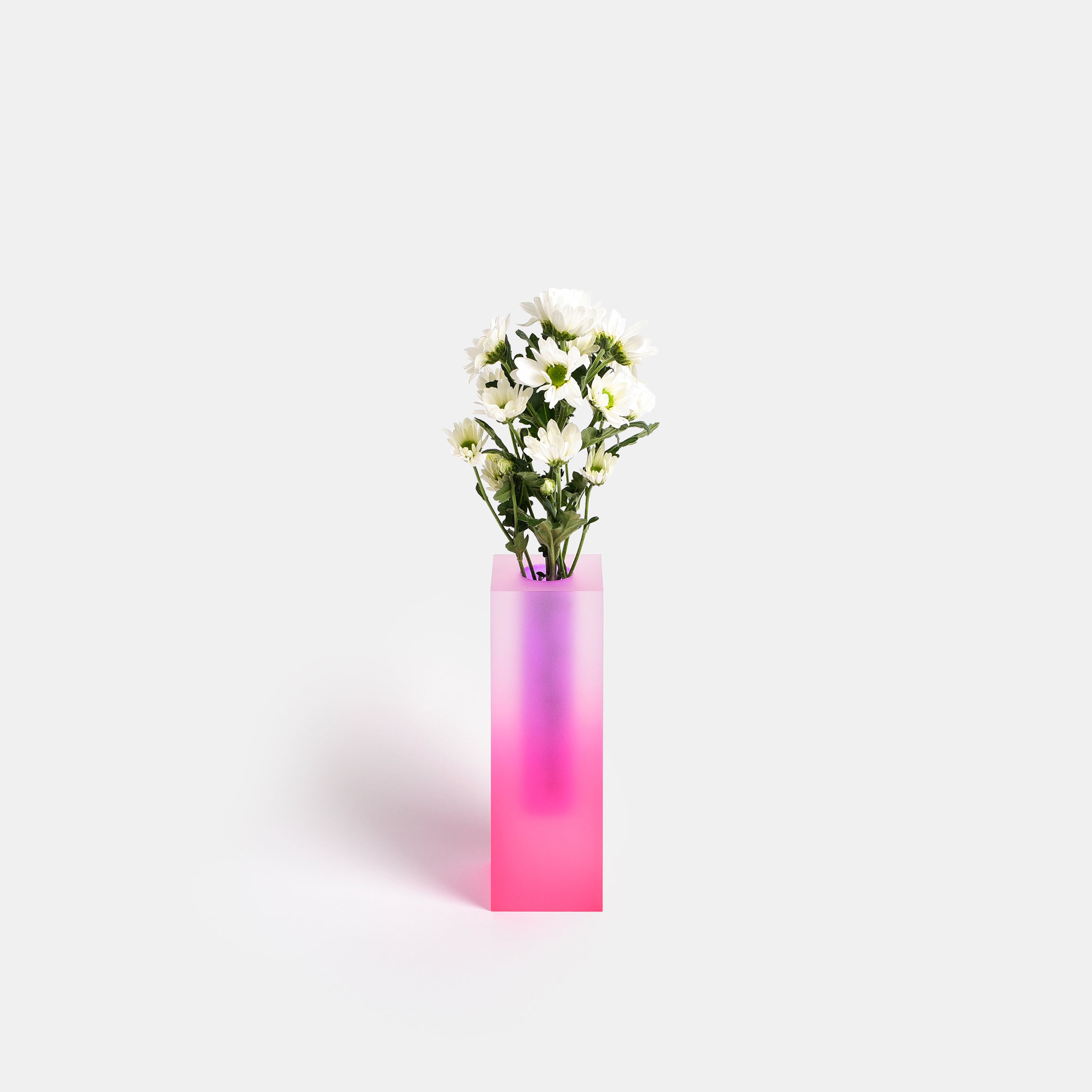 Mellow Vase - Pink & Purple - Monologue London