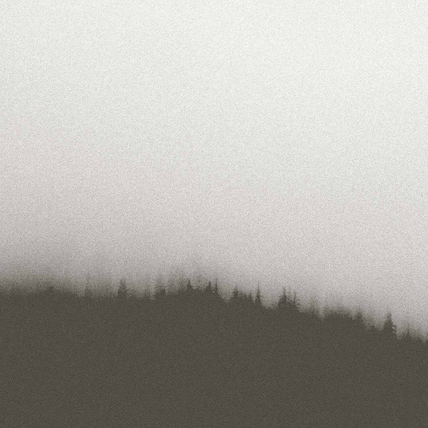 Fire Forest Wallpaper