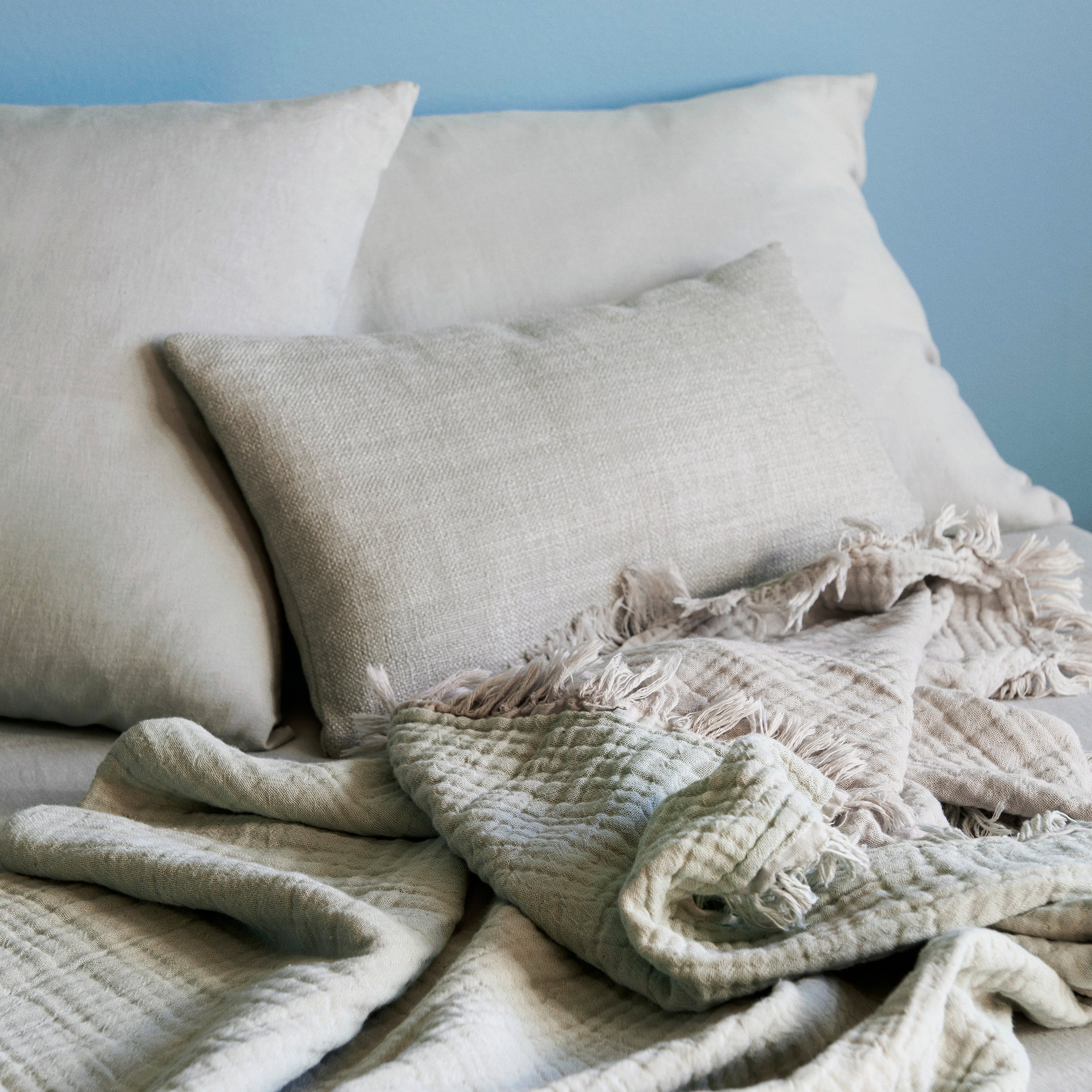 Blankets & Cushions