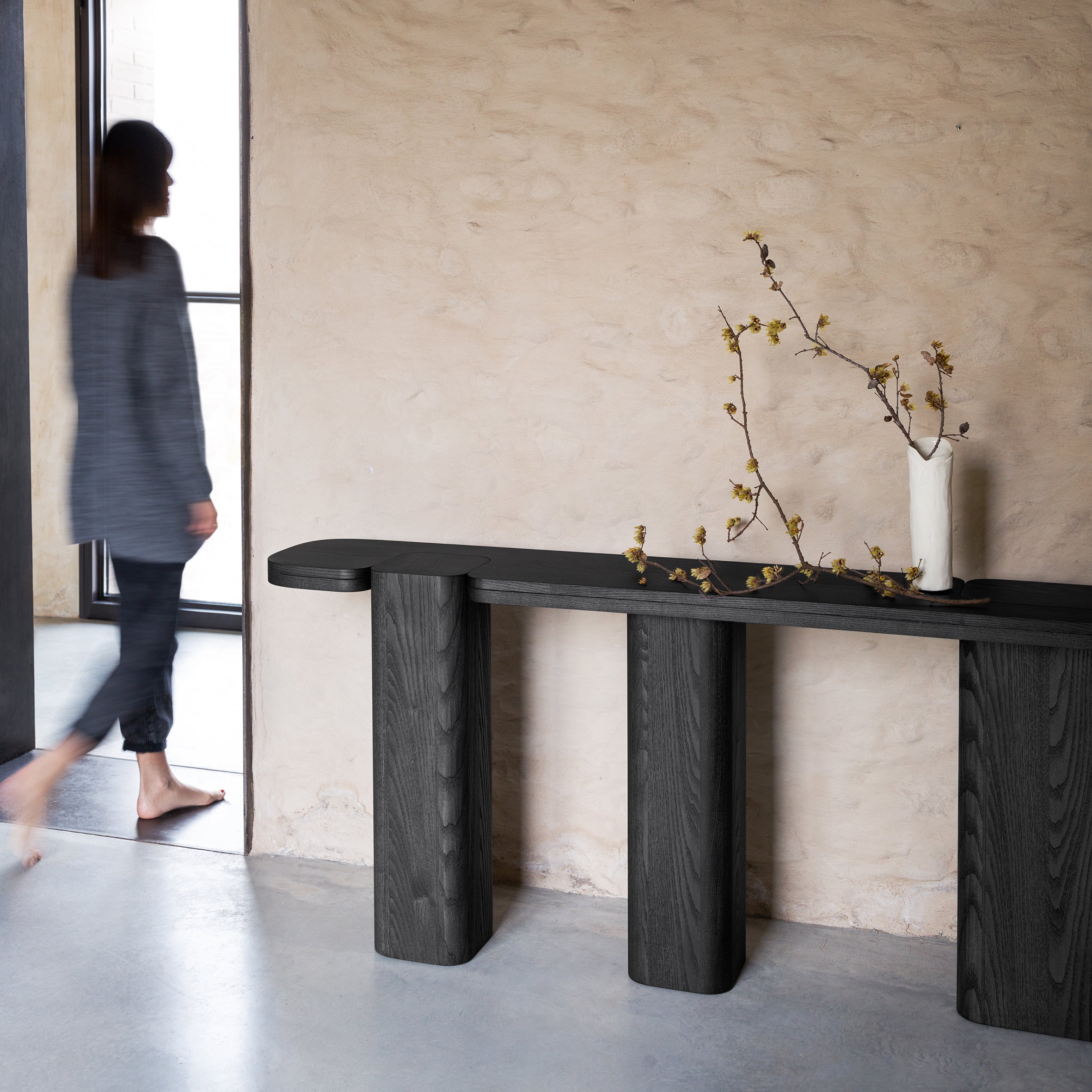 Erice C Console