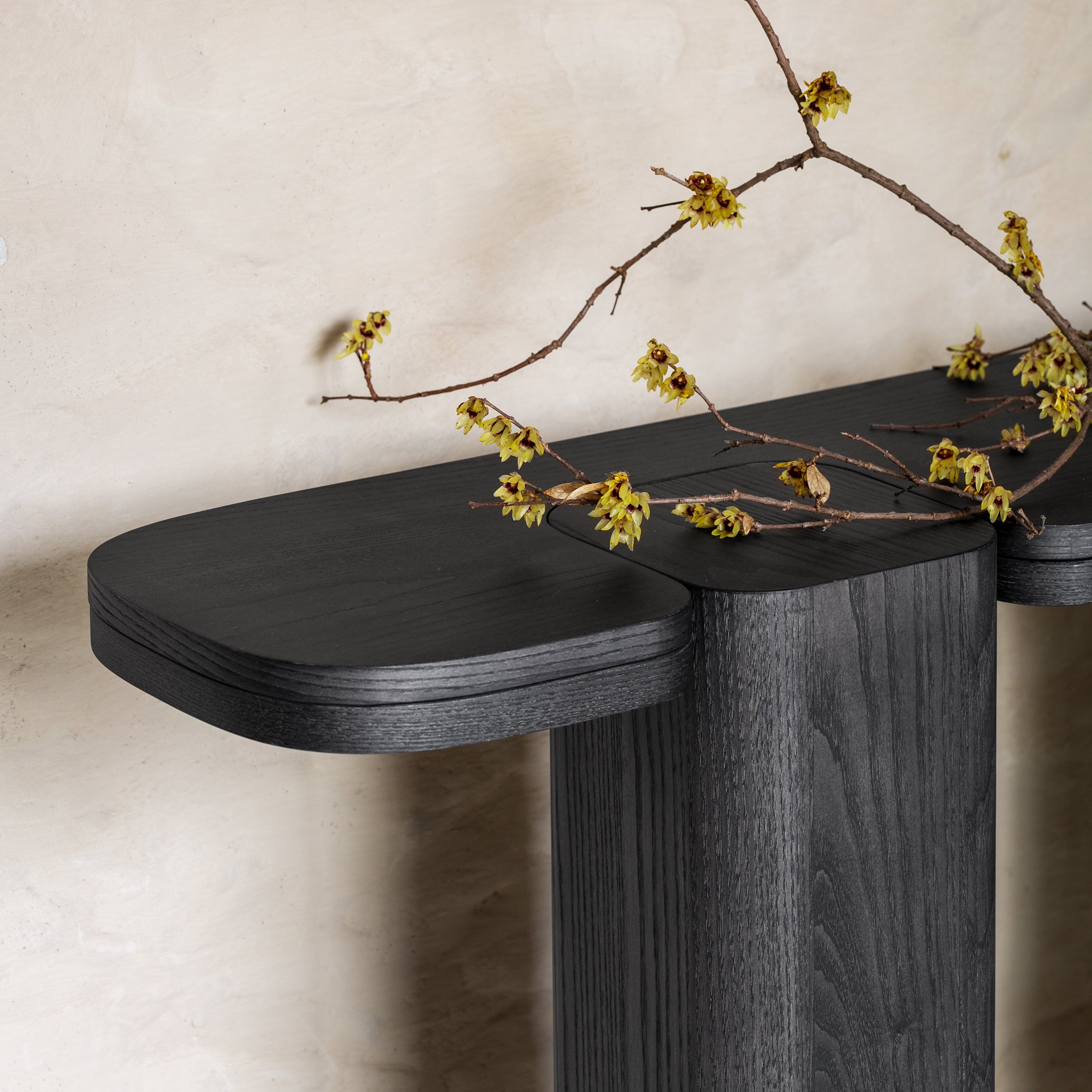Erice C Console