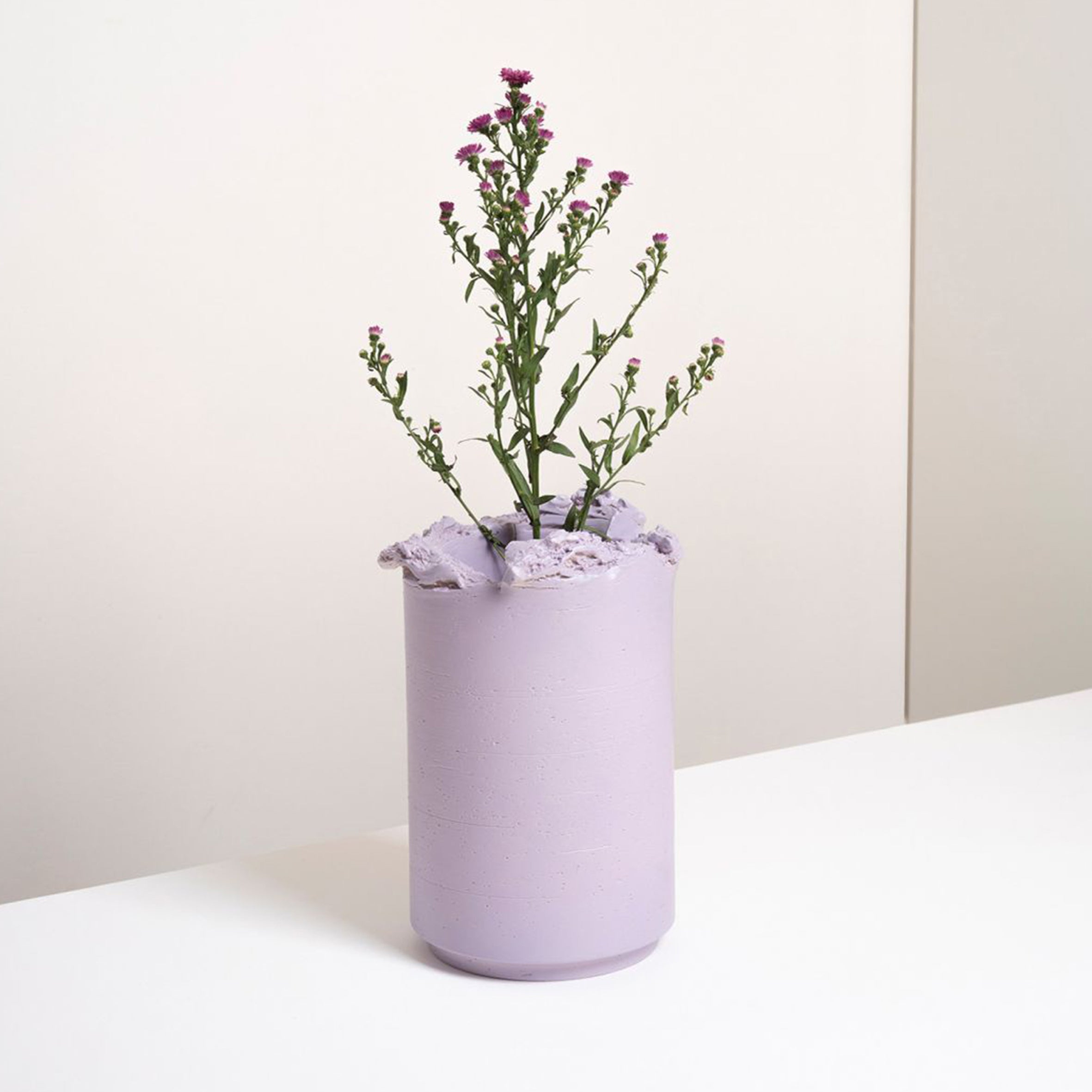 FAN 12 Viola Vase