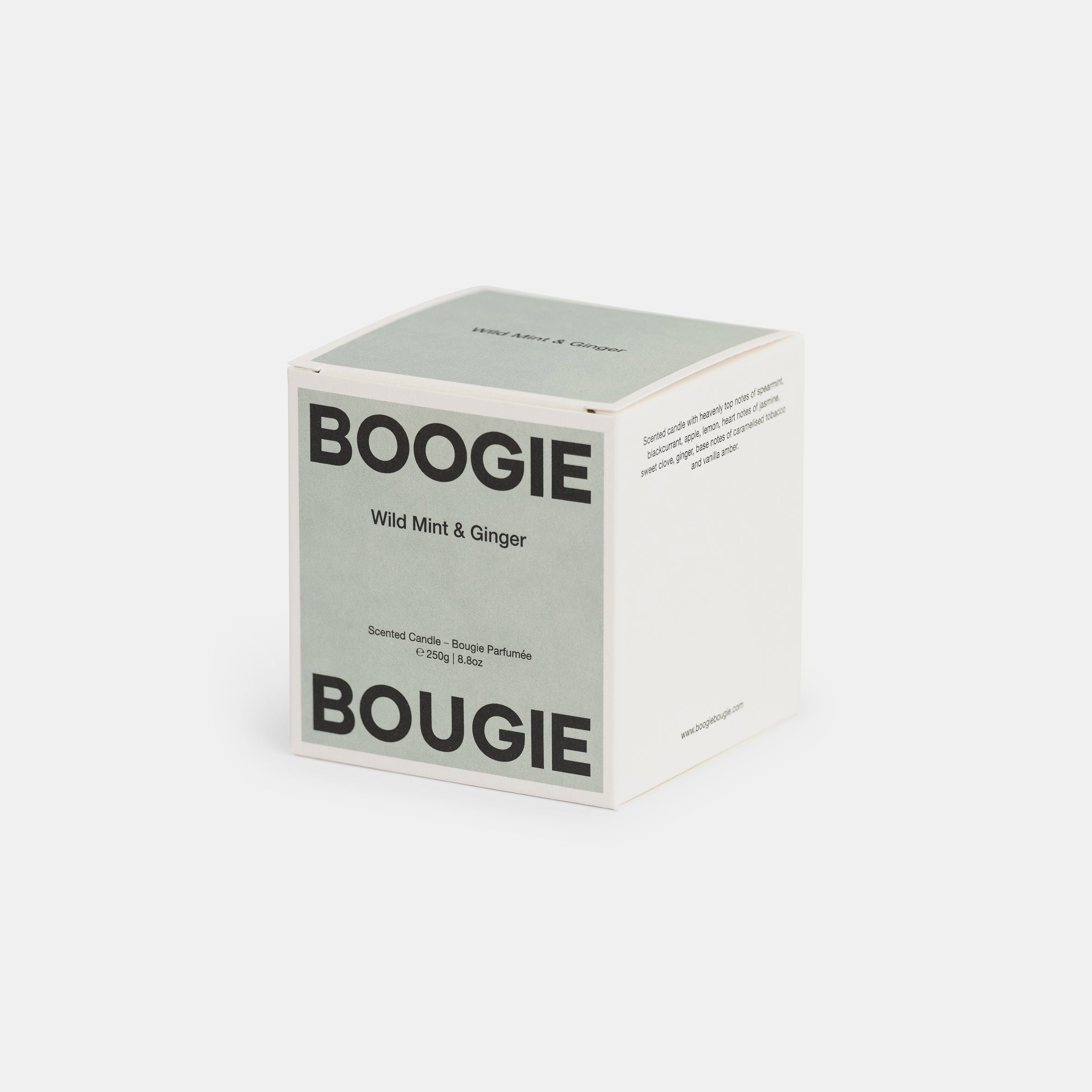 Scented Candle - Wild Mint & Ginger