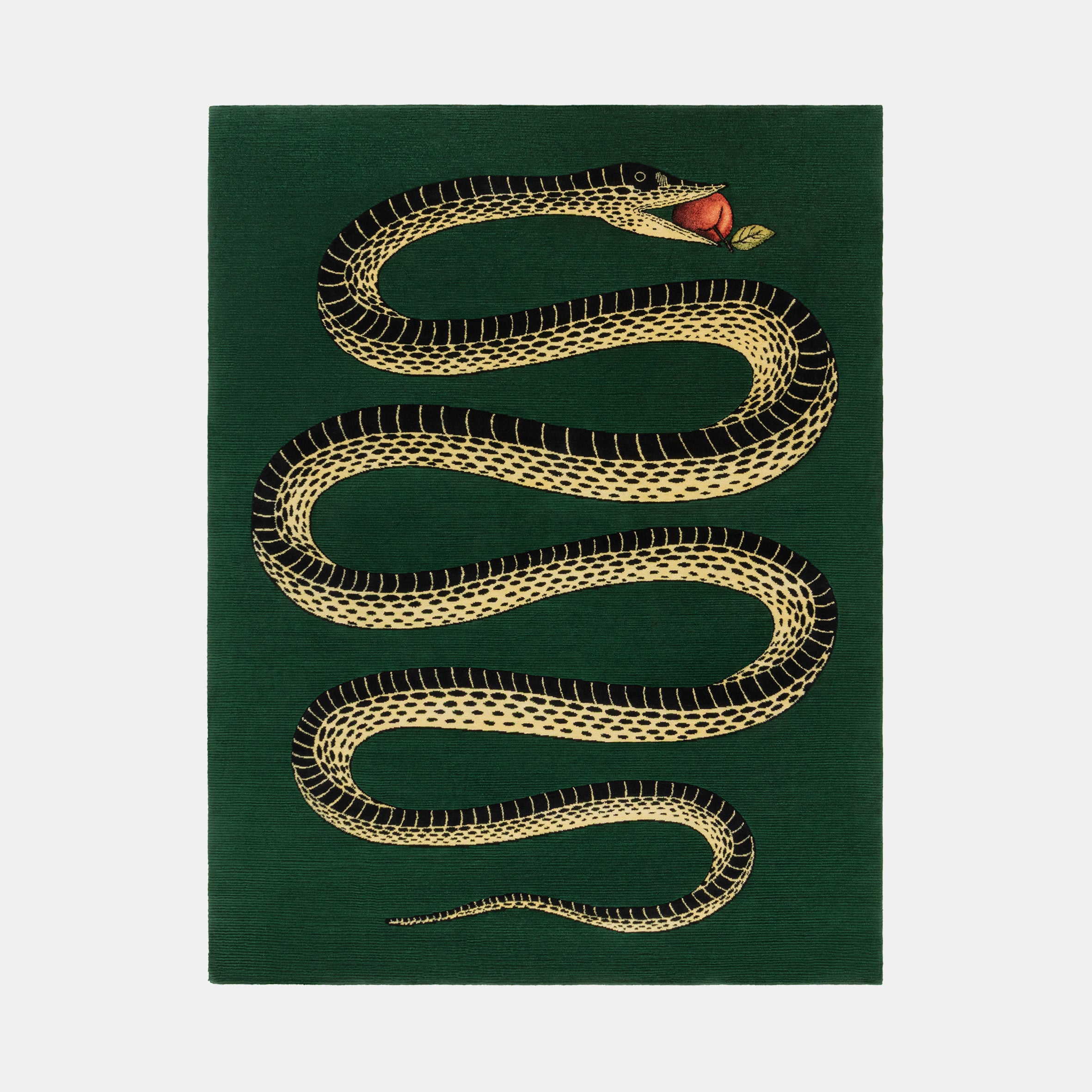 Peccato Originale Rug