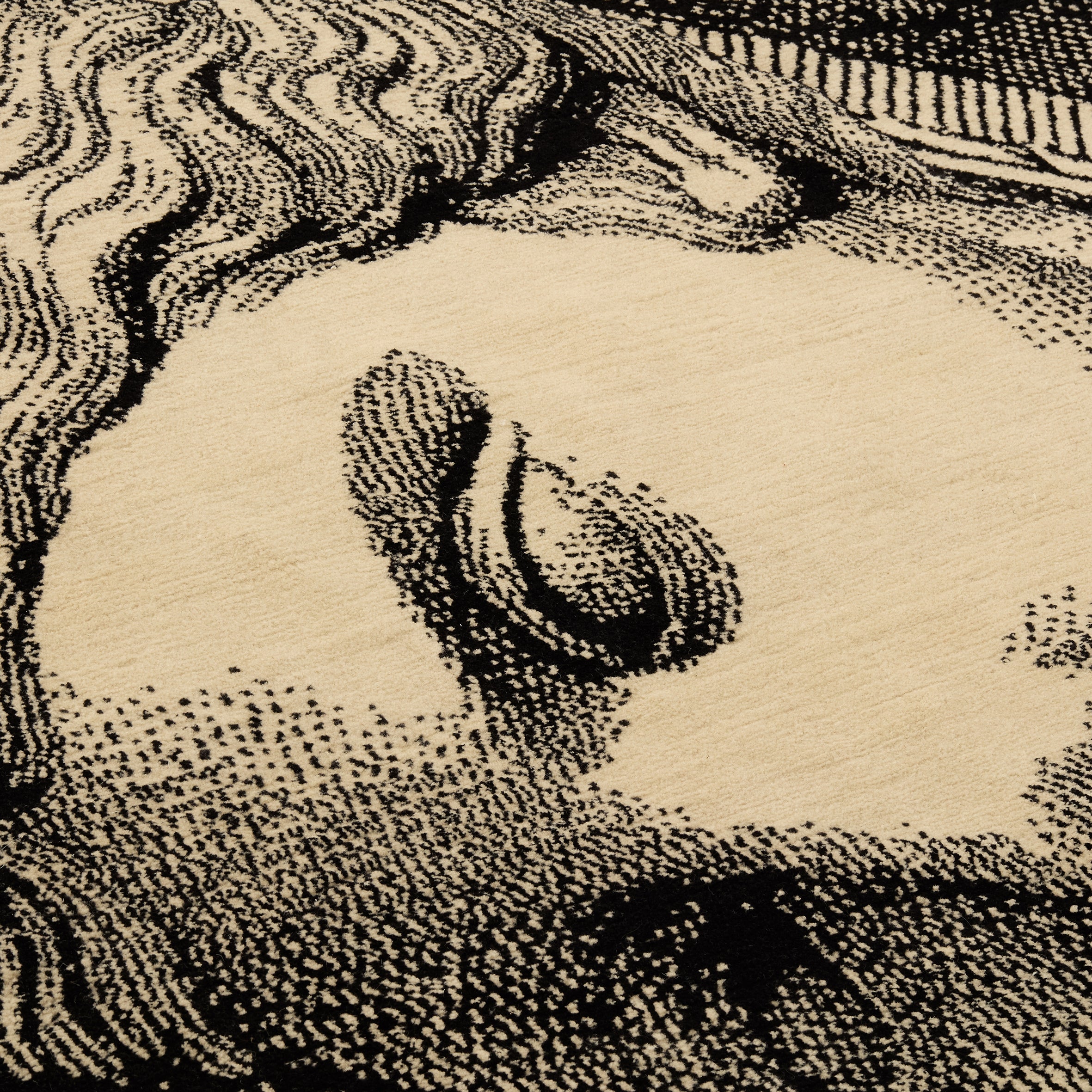 Rovine Classiche Rug