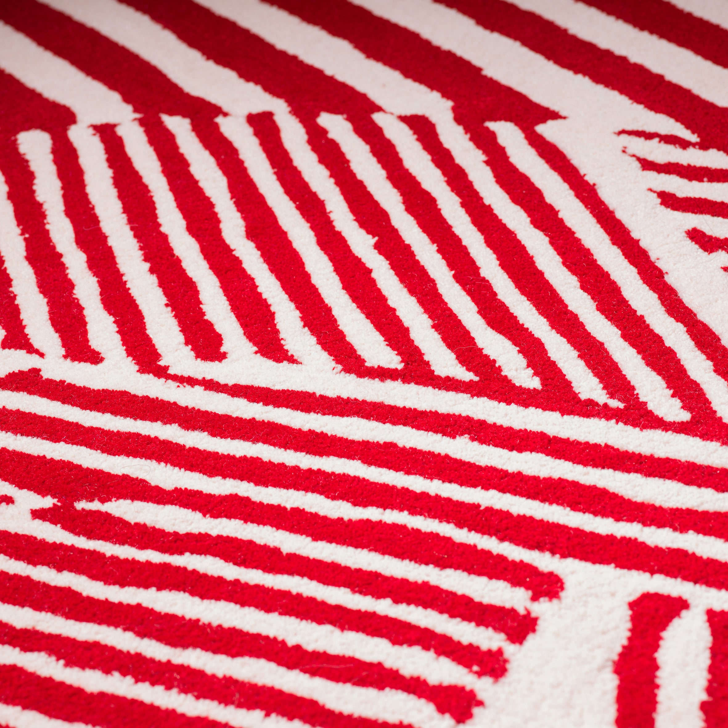 Orcal Rug