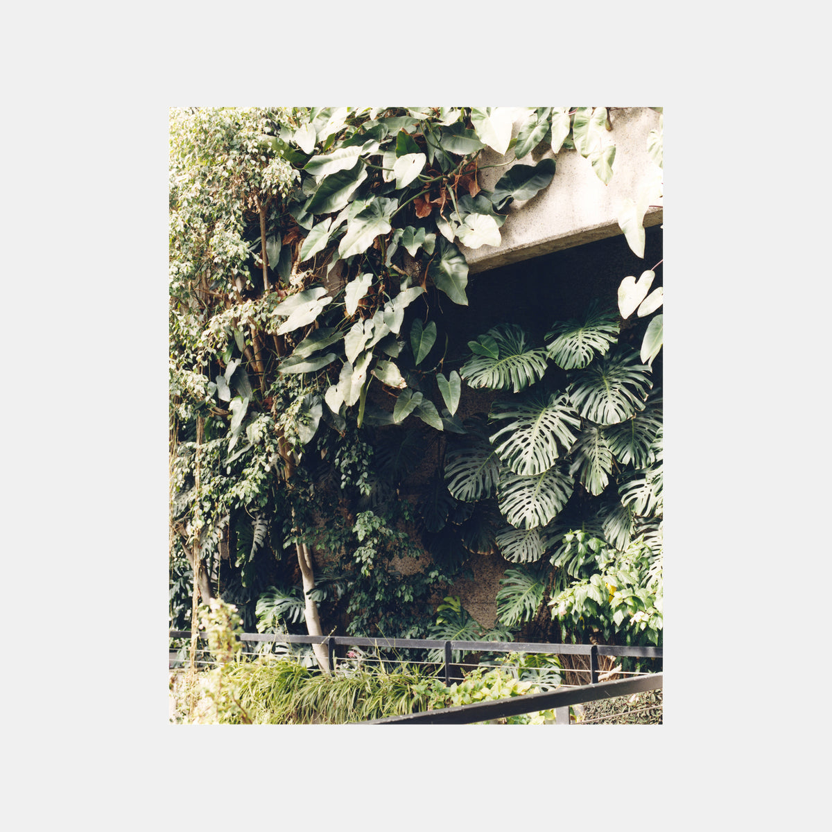 CAPTIVA - PARAFORMA x SIMONE BOSSI