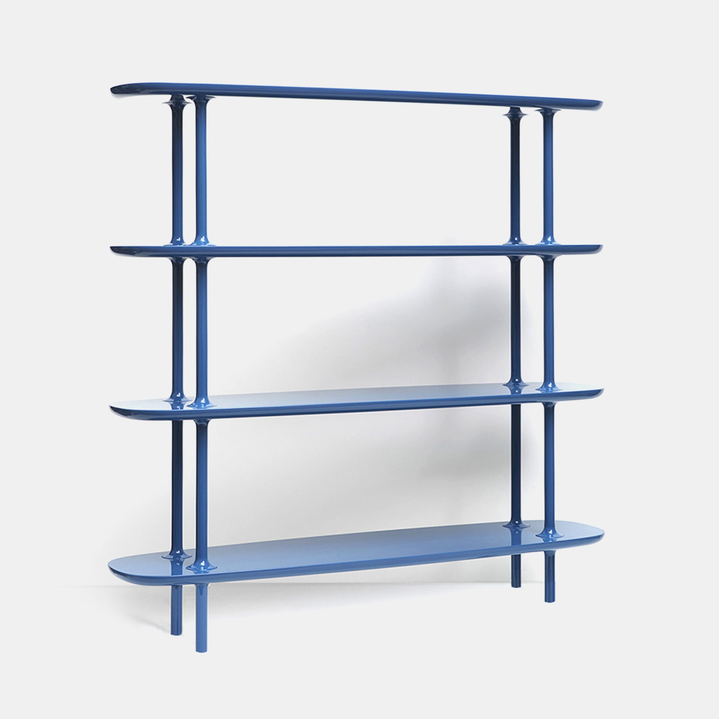 Bones Bookcase