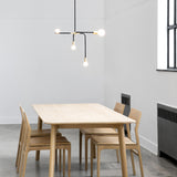Beaubien 02 Pendant