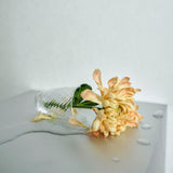 Collect Glass - Set of 2