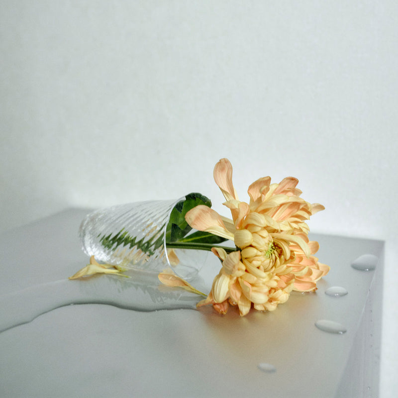 Collect Glass - Set of 2