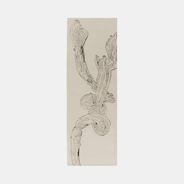 Euphorbia Runner