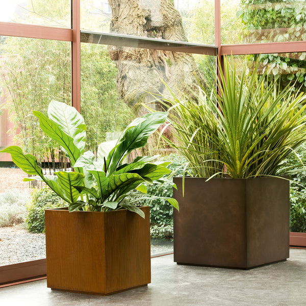 Cube Planters