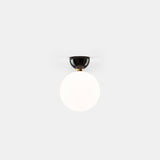 Aballs A II Wall/Ceiling Light - Black - Monologue London
