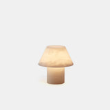 Petra M Portable Table Lamp